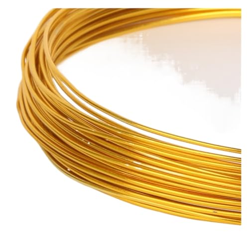 ASZHQUXIUAS Aluminiumdraht Gauge Craft Wire, 10M Aluminiumdraht Weicher DIY-Schmuckhandwerk Vielseitiger lackierter Aluminiummetalldraht(Gold) von ASZHQUXIUAS