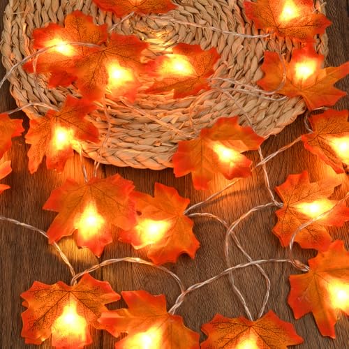 AUAUY 3 m Ahornblatt Lichterkette, 20 LED Herbst Lichterketten Ahornblatt Girlande Herbst Deko, Batteriebetrieben Blättergirlande Lichter für Erntedankfest Halloween Weihnachten Party von AUAUY