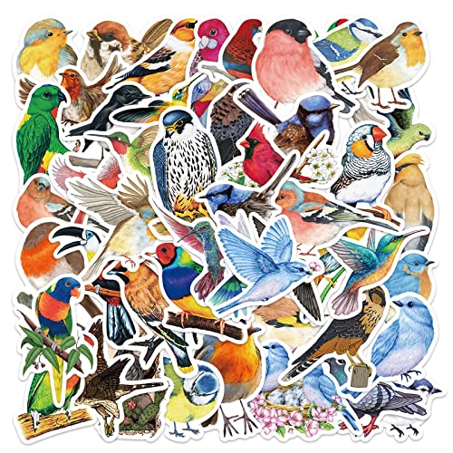 50 Stück Aquarell Vogel Aufkleber Pack Watercolor Bird Sticker Set Wasserdichte Vinyl Sticker für Laptop Kinder Autos Motorrad Fahrrad Skateboard Gepäck Koffer Computer Aufkleber Graffiti Decal von AUCEKO