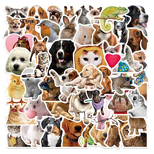 AUCEKO 50 Stück Lustige Tiere Aufkleber Pack Funny Animals Sticker Set wasserdichte Vinyl Sticker für Laptop Kinder Autos Motorrad Fahrrad Skateboard Gepäck Koffer Computer Aufkleber Graffiti Decal von AUCEKO