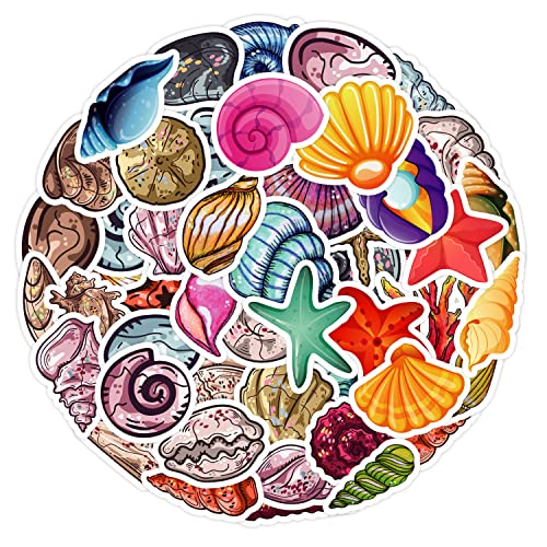 AUCEKO 50 Stück Meeresmuscheln Aufkleber Pack Ocean Shells Sticker Set wasserdichte Vinyl Sticker für Laptop Kinder Autos Motorrad Fahrrad Skateboard Gepäck Koffer Computer Aufkleber Graffiti Decal von AUCEKO