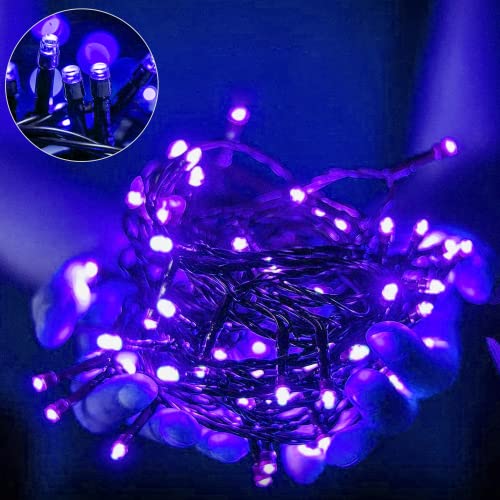 AURSTORE Basa Lichterkette, 8 Modi, 10 m, 100 LEDs, romantische Dekoration für Weihnachtsbaum, Hochzeit, Party, Lichterkette innen (grüner Draht, Blau) von AURSTORE