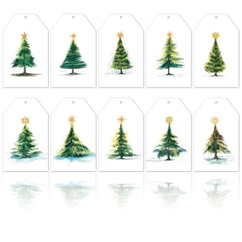 120 Stück Weihnachtspapier-Geschenkanhänger mit Hanfseil, Aquarell, Weihnachtsbaumanhänger, vorgestanzt mit Löchern, Urlaubspflanzenanhänger, Hängeetiketten, 10 Designs von AWEELON