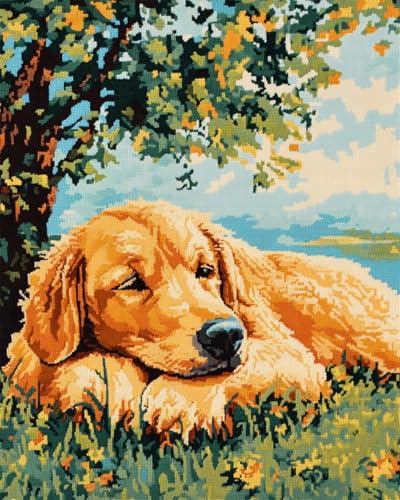 AYAOYANGGO 9CT Diy Perlen-Stickset Golden Retriever Auf Dem Gras Perlenstickerei Kit Hund Tier Diy Kit Mit Perlen Handgemachtes Perlenmalerei Kit Aus Handarbeit Handarbeit Nadelkunst Dekor 60x80cm von AYAOYANGGO