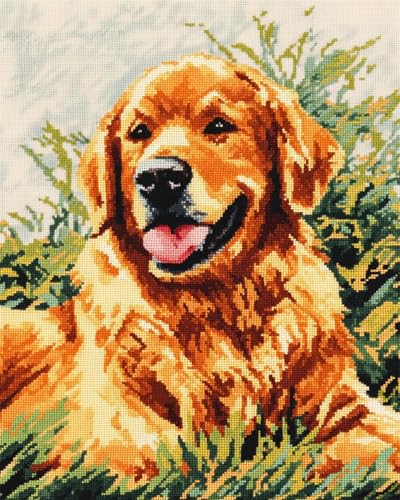 AYAOYANGGO 9CT Diy Perlenstickerei Set Golden Retriever Auf Dem Gras Stickset Hund Tier Nadelspitze Handarbeitsset Diy Perlenmalerei 3D Wandteppich Perlen Kreuzstich Set 60x80cm von AYAOYANGGO