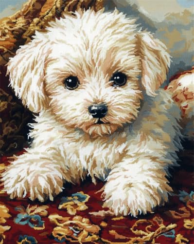 AYAOYANGGO Hund Tier Teppich Knüpfen Setkarikatur,West Highland White Terrier Knüpfteppich-Sets Für Erwachsene Und Kinder,Diy-Handarbeit,Häkelteppich-Set Mit Farbig Vorgedrucktem Muster 35x46in AYAOYANGGO Hund Tier Teppich Knüpfen Setkarikatur,West Highland White Terrier Knüpfteppich-Sets Für Erwachsene Und Kinder,Diy-Handarbeit,Häkelteppich-Set Mit Farbig Vorgedrucktem Muster 35x46in von AYAOYANGGO
