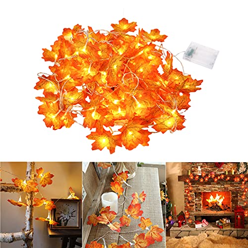 AYYDS 6M Ahornblätter Lichterketten 40 LED Herbst Lichterketten Ahornblatt Girlande Herbst Deko Batteriebetrieben Blättergirlande Lichter für Erntedankfest,Halloween,Weihnachten,Party (6M x 1pcs) von AYYDS