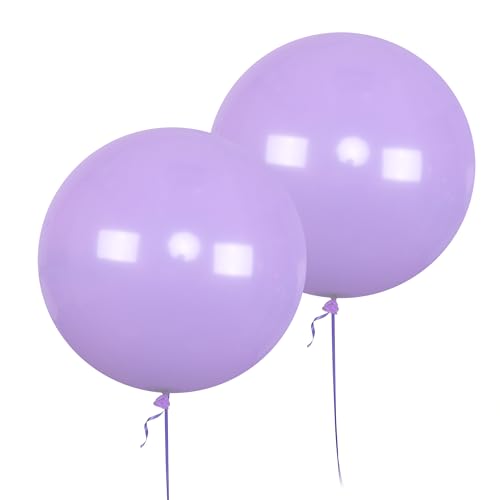 AZOWA 61.0 cm Hellvioletter Luftballon 10 große Latexballons für Party Hochzeit Geburtstag Babyparty Dekoration (Hellviolett, 10 Stück) von AZOWA