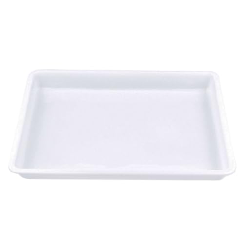 Abaodam Wasserreibende Malscheibe farbpalette zum mischen Mal Tray Kunststoff Wasserfarben Tray Bastel Tray Kunststoff kleine Plastikschalen Kunststofftabletts zum Servieren Weiß von Abaodam