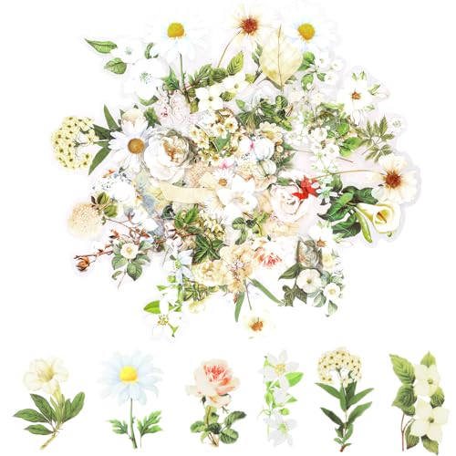 100 Blumen Scrapbooking Aufkleber,PET Transparente Pflanzen Aufkleber,Vintage Bunte Blumenaufkleber,Flower Stickers für Scrapbook Fotoalbum Tagebücher Laptops Karten (Weiß) von Abeillo