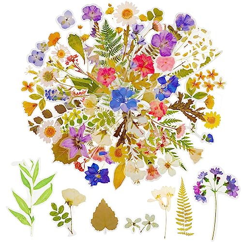 160 Stück Blumen Aufkleber Scrapbooking Pflanzen Sticker Dekoration, 80 Stile Naturthemen Stickers Blätter Deko Stickerbögen für Sammelalbum Planer Notizbuch Tagebuch Laptops von Abeillo