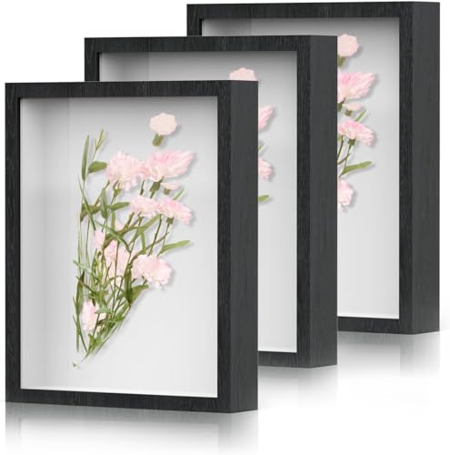 3D Bilderrahmen 20 x 25 cm- 3 Pack Objektrahmen Tief, Bilderrahmen Tief Holz Rahmen mit Glas Geeignet für Tischpräsentation, Zeichnungen, Fotos, Trockenblumen, Wandmontage, Shadow Box Rahmen (Schwarz) von Acebliss