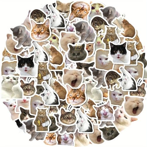 Addein Lustiges Katzen Aufkleber Set, Katzen Meme Sticker, Katzensticker für Skateboard Laptop Koffer Helm Motorrad Auto Fahrrad Handy von Addein