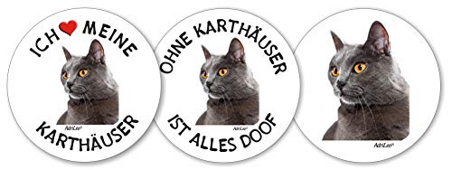 AdriLeo - Runde Aufkleber 3er-Set - Karthäuser - Deko Autoaufkleber Sticker Katze von AdriLeo