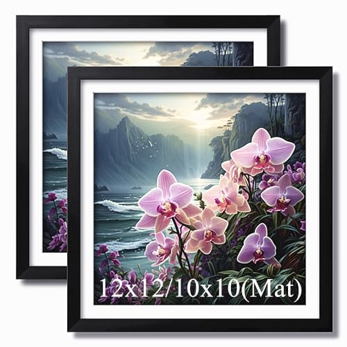 Aeadar Diamond Painting Bilderrahmen, geeignet für 30 x 30 cm Diamant-Malerei und Foto, Diamant-Kunst-Holzrahmen mit Matte, Diamant-Malerei, Leinwand, Bild, Wand-Displays (2 Stück, schwarz) von Aeadar