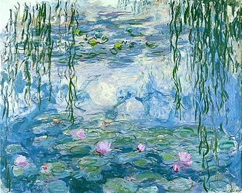 Aeadar Diamond Painting Monet Water Lily, 5D Diamant Painting Bilder Diamant Malerei Set, DIY Diamant Malerei für Home Wall Décor (30×40cm) von Aeadar