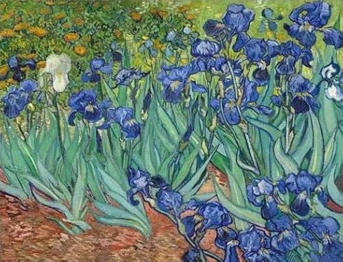 Aeadar Diamond Painting Van Gogh Iris, 5D Diamant Painting Bilder Diamant Malerei Set, DIY Diamant Malerei für Home Wall Décor (30×40cm) von Aeadar