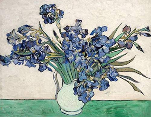 Aeadar Diamond Painting Van Gogh Iris Vase, 5D Diamant Painting Bilder Diamant Malerei Set, DIY Diamant Malerei für Home Wall Décor (30×40cm) von Aeadar