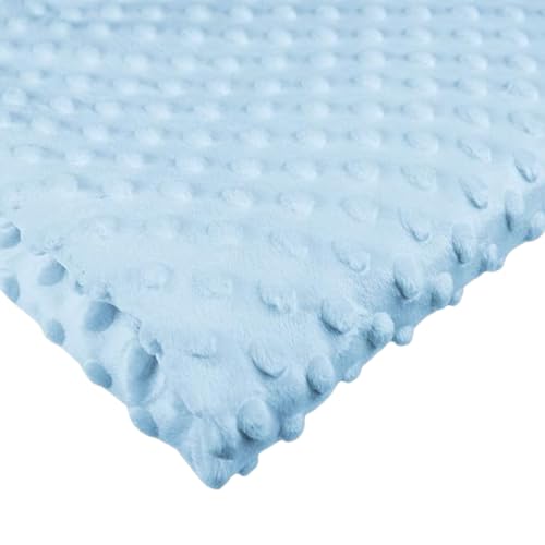 Polyester Meterware Stoff 50x160 cm - Minky Plüschstoff - Flauschiger Fleece für Kinderstoffe (Hellblau) von Ahoiikids