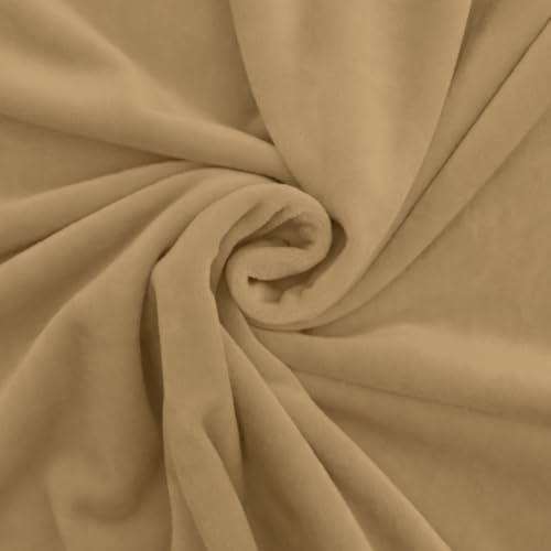 Premium Minky Fleece Stoff Meterware - Super Weicher Plüschstoff 260gsm - Microfaser Stoff in Verschiedenen Farben - 50x160cm (Beige) von Ahoiikids