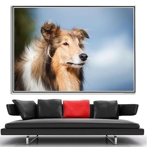 Collie Cute Pet Dog DIY Diamond Painting Kits for Adults 5D Full Round Drill Diamond Painting Kit Embroidery Arts Home Decor von AiEiIiOiUi