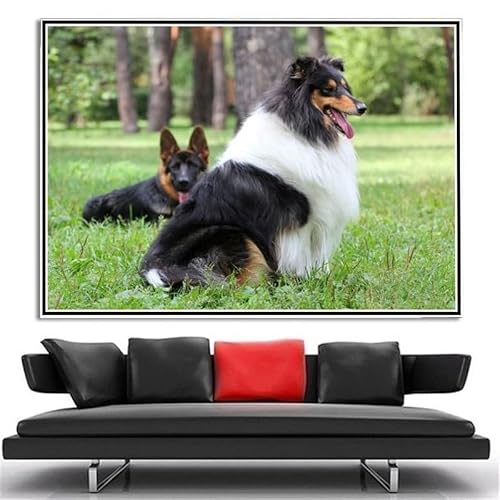 Collie Cute Pet Dog Diamond Painting Kits for Adults Diamond Art 5D Paint with Diamonds,DIY Painting Kit Paint by Number Birthday Gifts von AiEiIiOiUi