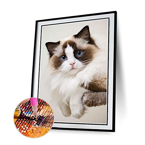 Ragdoll Süße Haustier Katze Tier DIY Diamant Malerei Kits für Erwachsene, 5D Full Round Drill Diamond Painting Kit Stickerei Kunst Home Decor von AiEiIiOiUi