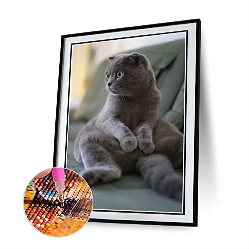 Scottish Fold Cute Pet Cat Animal Diamond Painting Kits for Adults, 5D Crystal Diamonds Art with Accessories Tools, Picture DIY Art Craft for Home Decor Gift von AiEiIiOiUi