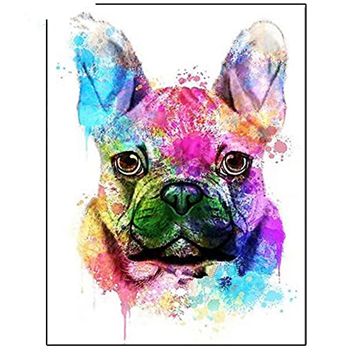 DIY 5D Diamond Painting Bilder Französische Bulldogge Full Drill Diamant Malerei Kit für Erwachsene Kristall Strass Stickerei Kreuzstich Mosaik Gemälde handwerk Canvas Wall Arts Decor 30x40cm/12x16in von Ailne