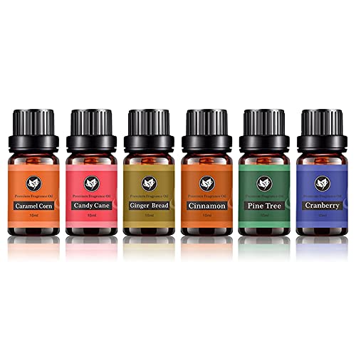 Ailopta 6×10ml Ätherisches Öl Set, Duftöl Für Diffuser Weihnachten, Aromatherapie Ätherisches Öl Für Für Die Organische Aromatherapie, Körpermassageöl, Haarpflege, Verdampfer, Spa, Luftfrischer ittel von Ailopta