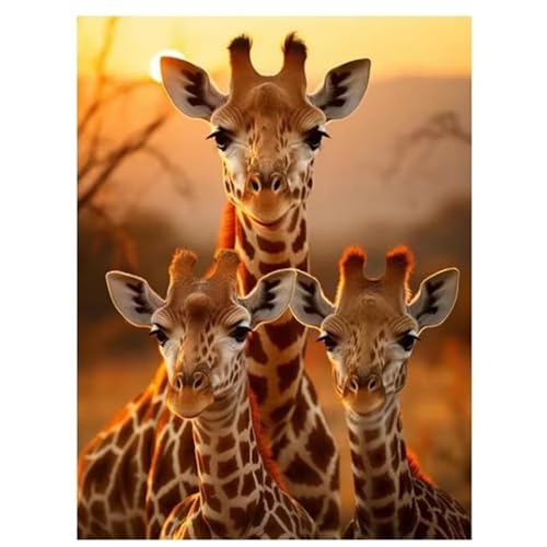 5D Diamond Painting Erwachsene,Sonnenaufgang-Giraffe Diamant Painting Bilder Set DIY Vollbohrer Runden Diamant Cross Stickerei Malerei Kits für Home Wanddekoration - 30x50cm von Aimaor