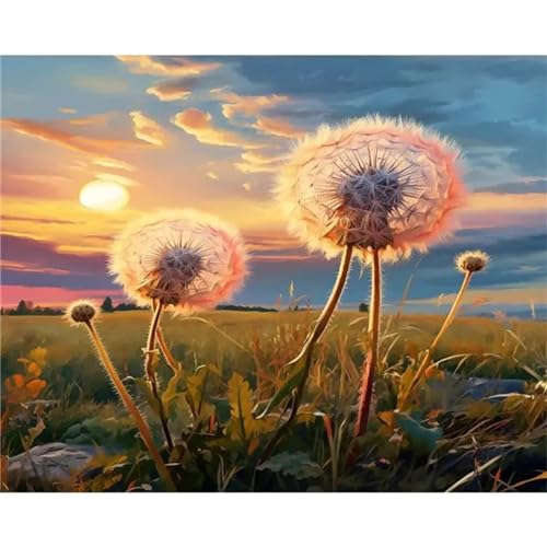 Aimaor Malen Nach Zahlen Erwachsene, Pflanzen Sonnenuntergang Paint by Numbers Adult Bastelset Malen-Nach-Zahlen Kinder Anfänger Leinwand Kreativ Set DIY Set Malen nach Zahlen 60x75cm von Aimaor