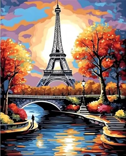 Aimaor Malen Nach Zahlen Erwachsene,Paris DIY Paint by Numbers,Malen Nach Zahlen Erwachsene Leinwand Bastelset Erwachsene Ölgemälde für die Home Decor-Sicht,Ohne Rahmen(45x60cm) von Aimaor