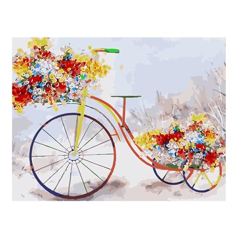 Aimaor Malen Nach Zahlen Erwachsene Blumenfahrrad,DIY Paint by Numbers Kit mit 3-Pinseln und Acrylfarbe Leinwand Handgemalt Ölgemälde für Home Decor(Rahmenlos) - 60x75cm von Aimaor