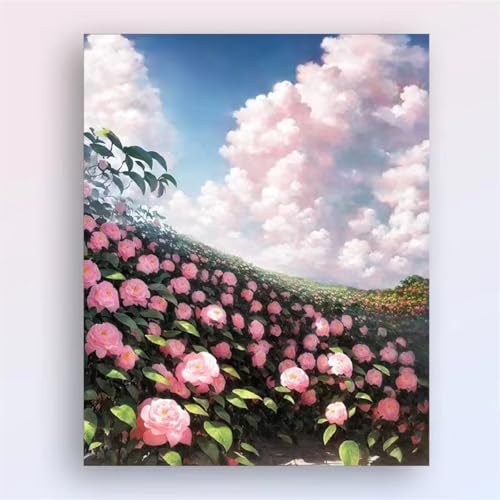 Aimaor Malen Nach Zahlen Erwachsene DIY Blumenwolke mit Rahmen Handgemalt Ölgemälde Kit für Anfänger mit Pinseln und Acrylfarben Paint by Numbers Kit für Geschenk Heimdekoration - 50x65cm von Aimaor