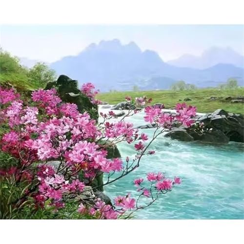 Aimaor Malen Nach Zahlen Erwachsene DIY Flussrosa Blumen mit Rahmen Handgemalt Ölgemälde Kit für Anfänger mit Pinseln und Acrylfarben Paint by Numbers Kit für Geschenk Heimdekoration - 55x70cm von Aimaor