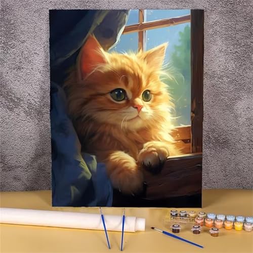 Aimaor Malen Nach Zahlen Erwachsene DIY Katze süß mit Rahmen Handgemalt Ölgemälde Kit für Anfänger mit Pinseln und Acrylfarben Paint by Numbers Kit für Geschenk Heimdekoration - 50x65cm von Aimaor