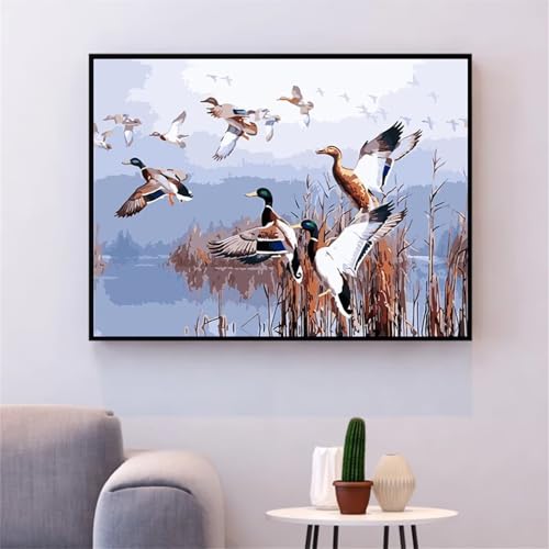 Aimaor Malen Nach Zahlen Erwachsene DIY Landschaft Stockenten mit Rahmen Handgemalt Ölgemälde Kit für Anfänger mit Pinseln und Acrylfarben Paint by Numbers Kit für Geschenk Heimdekoration - 50x65cm von Aimaor