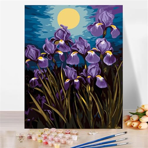 Aimaor Malen Nach Zahlen Erwachsene DIY Lila Blumen mit Rahmen Handgemalt Ölgemälde Kit für Anfänger mit Pinseln und Acrylfarben Paint by Numbers Kit für Geschenk Heimdekoration - 45x60cm von Aimaor