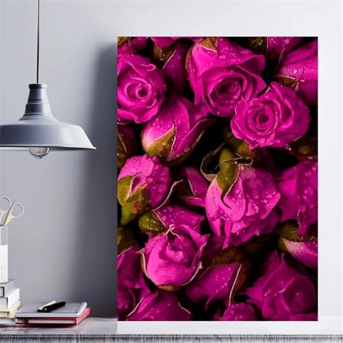 Aimaor Malen Nach Zahlen Erwachsene DIY Lila Rosen mit Rahmen Handgemalt Ölgemälde Kit für Anfänger mit Pinseln und Acrylfarben Paint by Numbers Kit für Geschenk Heimdekoration - 50x65cm von Aimaor