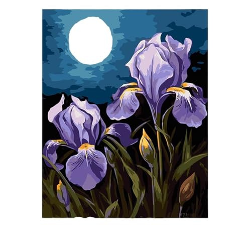 Aimaor Malen Nach Zahlen Erwachsene DIY Mond lila Blume mit Rahmen Handgemalt Ölgemälde Kit für Anfänger mit Pinseln und Acrylfarben Paint by Numbers Kit für Geschenk Heimdekoration - 30x40cm von Aimaor