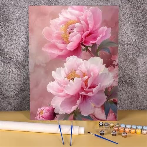 Aimaor Malen Nach Zahlen Erwachsene DIY Pfingstrosenrosa mit Rahmen Handgemalt Ölgemälde Kit für Anfänger mit Pinseln und Acrylfarben Paint by Numbers Kit für Geschenk Heimdekoration - 50x65cm von Aimaor