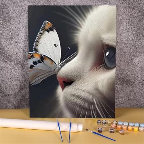 Aimaor Malen Nach Zahlen Erwachsene DIY Schmetterlingskatze mit Rahmen Handgemalt Ölgemälde Kit für Anfänger mit Pinseln und Acrylfarben Paint by Numbers Kit für Geschenk Heimdekoration - 45x60cm von Aimaor