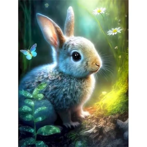 Aimaor Malen Nach Zahlen Erwachsene DIY Süßer Hase mit Rahmen Handgemalt Ölgemälde Kit für Anfänger mit Pinseln und Acrylfarben Paint by Numbers Kit für Geschenk Heimdekoration - 40x50cm von Aimaor