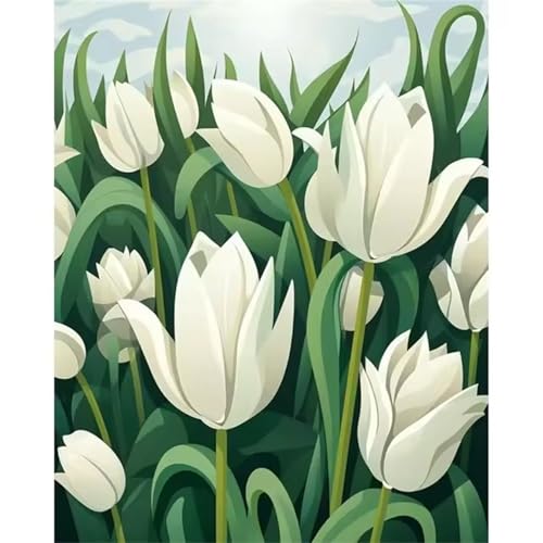 Aimaor Malen Nach Zahlen Erwachsene DIY Tulpe Weiß mit Rahmen Handgemalt Ölgemälde Kit für Anfänger mit Pinseln und Acrylfarben Paint by Numbers Kit für Geschenk Heimdekoration - 30x40cm von Aimaor