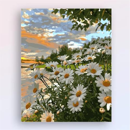 Aimaor Malen Nach Zahlen Erwachsene DIY Weißes Gänseblümchen mit Rahmen Handgemalt Ölgemälde Kit für Anfänger mit Pinseln und Acrylfarben Paint by Numbers Kit für Geschenk Heimdekoration - 50x65cm von Aimaor