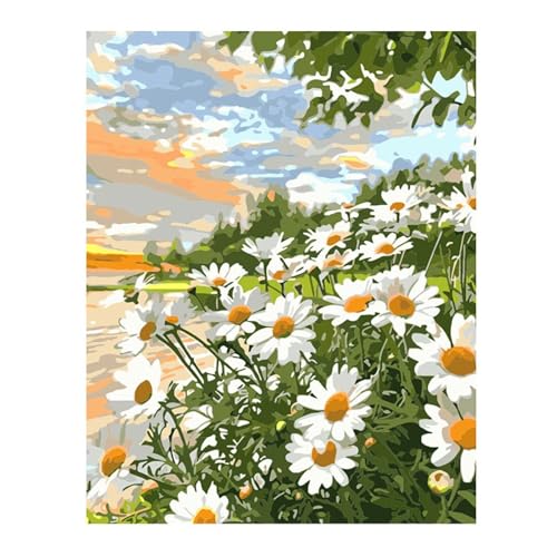 Aimaor Malen Nach Zahlen Erwachsene DIY Weißes Gänseblümchen mit Rahmen Handgemalt Ölgemälde Kit für Anfänger mit Pinseln und Acrylfarben Paint by Numbers Kit für Geschenk Heimdekoration - 30x40cm von Aimaor