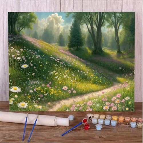 Aimaor Malen Nach Zahlen Erwachsene DIY Wiesenblume mit Rahmen Handgemalt Ölgemälde Kit für Anfänger mit Pinseln und Acrylfarben Paint by Numbers Kit für Geschenk Heimdekoration - 45x60cm von Aimaor