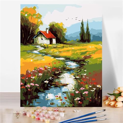 Aimaor Malen Nach Zahlen Erwachsene DIY Wiesenfluss mit Rahmen Handgemalt Ölgemälde Kit für Anfänger mit Pinseln und Acrylfarben Paint by Numbers Kit für Geschenk Heimdekoration - 30x40cm von Aimaor