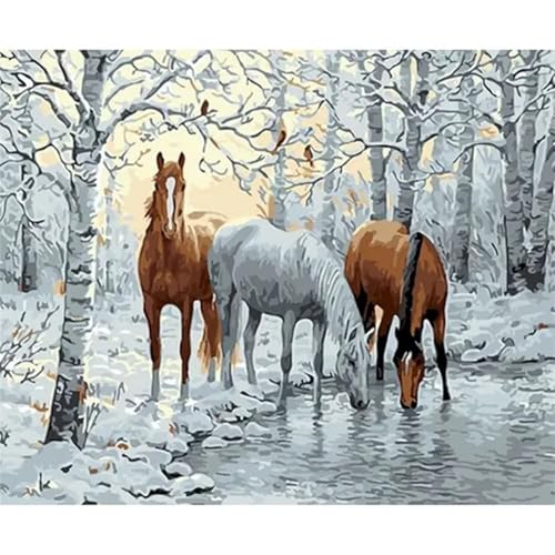 Aimaor Malen Nach Zahlen Erwachsene Pferde Schnee,Anfänger Paint by Numbers,mit Pinseln und Acrylfarben Handgemalt Ölgemälde Leinwand(Ohne Rahmen),zur Heimdekoration - 45x60cm von Aimaor